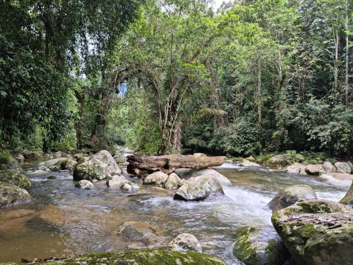 Recanto Da Margo 1, Casa Com Acesso A Cachoeira Παρατί Εξωτερικό φωτογραφία