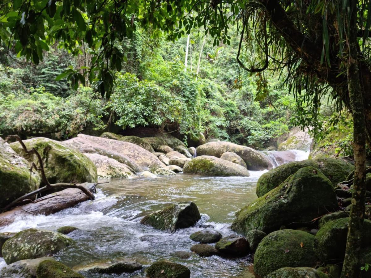 Recanto Da Margo 1, Casa Com Acesso A Cachoeira Παρατί Εξωτερικό φωτογραφία