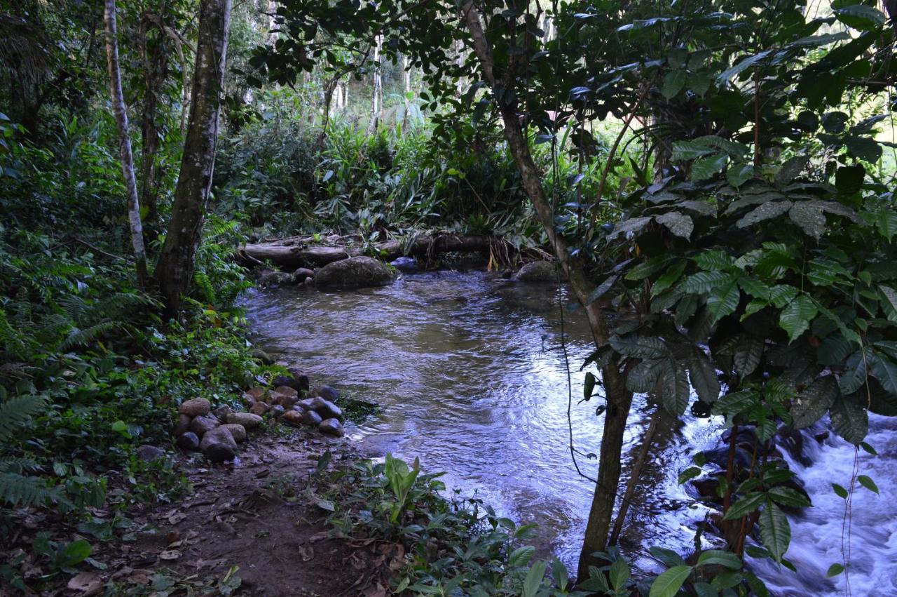 Recanto Da Margo 1, Casa Com Acesso A Cachoeira Παρατί Εξωτερικό φωτογραφία